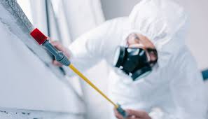 Professional Pest Control in Milton, FL